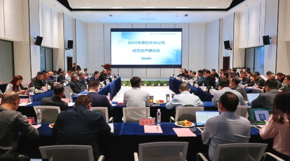 公司召开2025年度驻外分公司经营生产座谈会